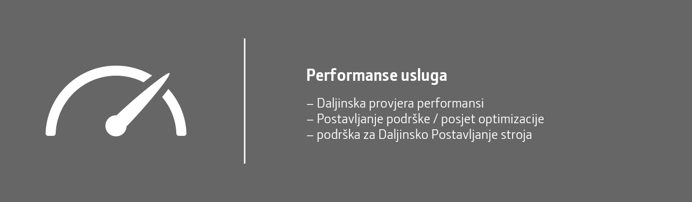 Usluge performansi (Performance Services)