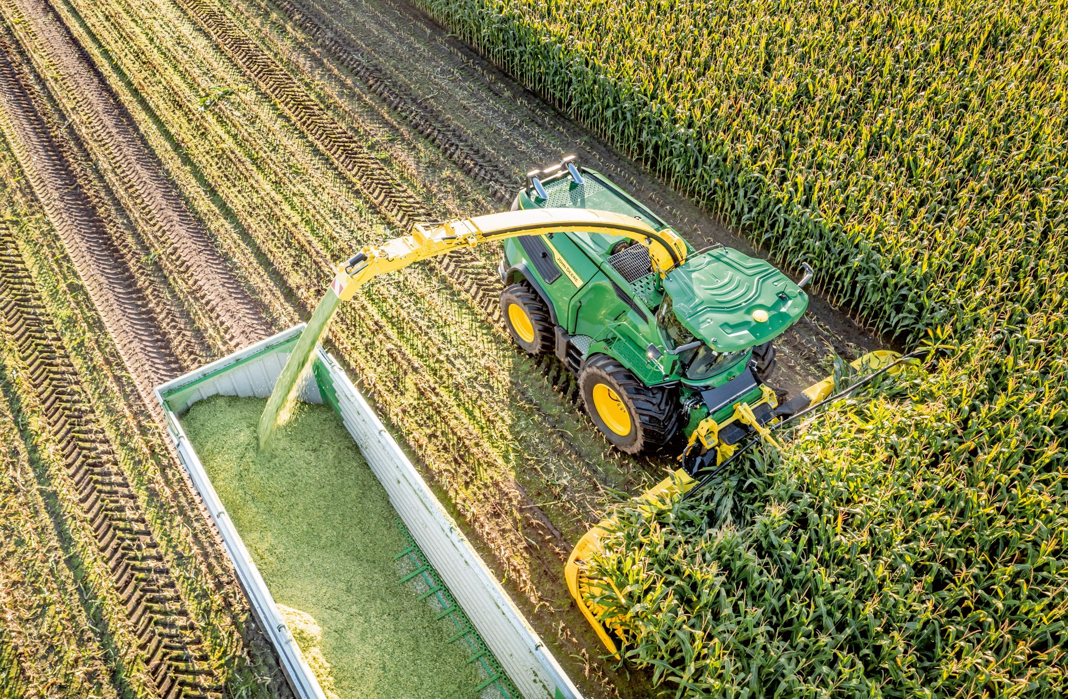 Pogled iz zraka na zeleni kombajn John Deere za žetvu kukuruza i prijenos sjeckane silaže u prikolicu u velikom polju kukuruza.